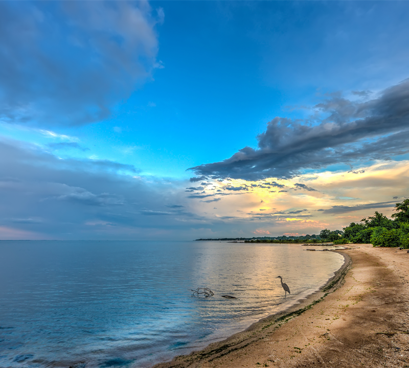 Contact Us Framptom Funeral Home, P.A. Federalsburg, MD